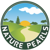 Bulk Organic Rice Supplier | Trusted Global Exporter
