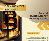 RECOVERY COMPANY SERVICE TO RECOVER LOST OR STELEN BTC, HIRE SALVAGE ASSET RECOVERY