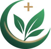 Rayzi Healthcare LLC