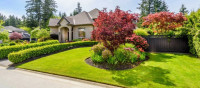 Professional Landscape and Gardening Services | Expert Lawn & Garden Care