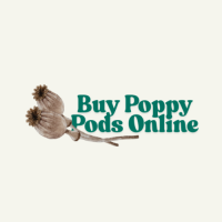Buy Poppy Pods Online