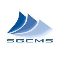 Expert Payroll Tax Consultant Services | SGC Management Services Pvt. Ltd.