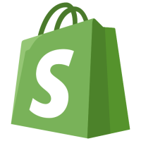 What does a Shopify website development company do?