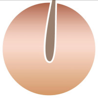The Australian Dermal & Laser Institute