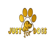 Safe & Loving Dog Boarding in Noida