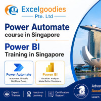 Data Analytics Course Singapore – Practical Training by Excelgoodies Pte. Ltd
