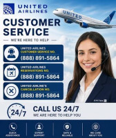 United airlines customer service