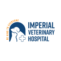 Imperial Veterinary Hospital | Best Pet Clinic in Satellite, Ahmedabad