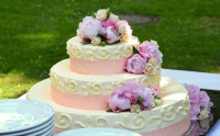 Send Cakes To Canada Online – Best Cake Delivery for Every Occasion