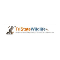 TriState Wildlife