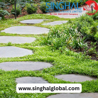 Ground Covers: A Vital Shield for Safety and Sustainability