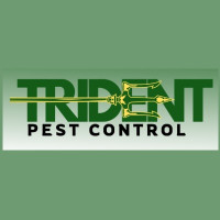 Trident Pest Control